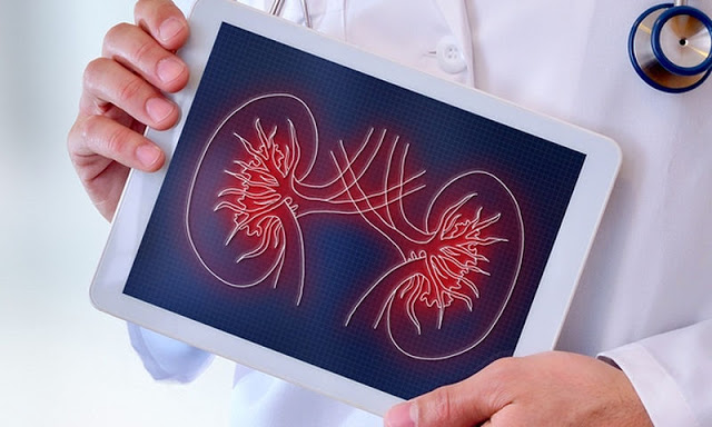 Online τεστ για την υγεία των νεφρών σας εγκεκριμένο από το βρετανικό NHS - Φωτογραφία 1