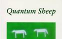 Πρόβατα, Ποίηση και Κβαντική Φυσική - Φωτογραφία 3