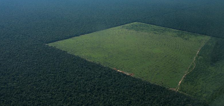 Το τροπικό δάσος του Αμαζονίου μειώθηκε το 2017 δραματικά - Φωτογραφία 3