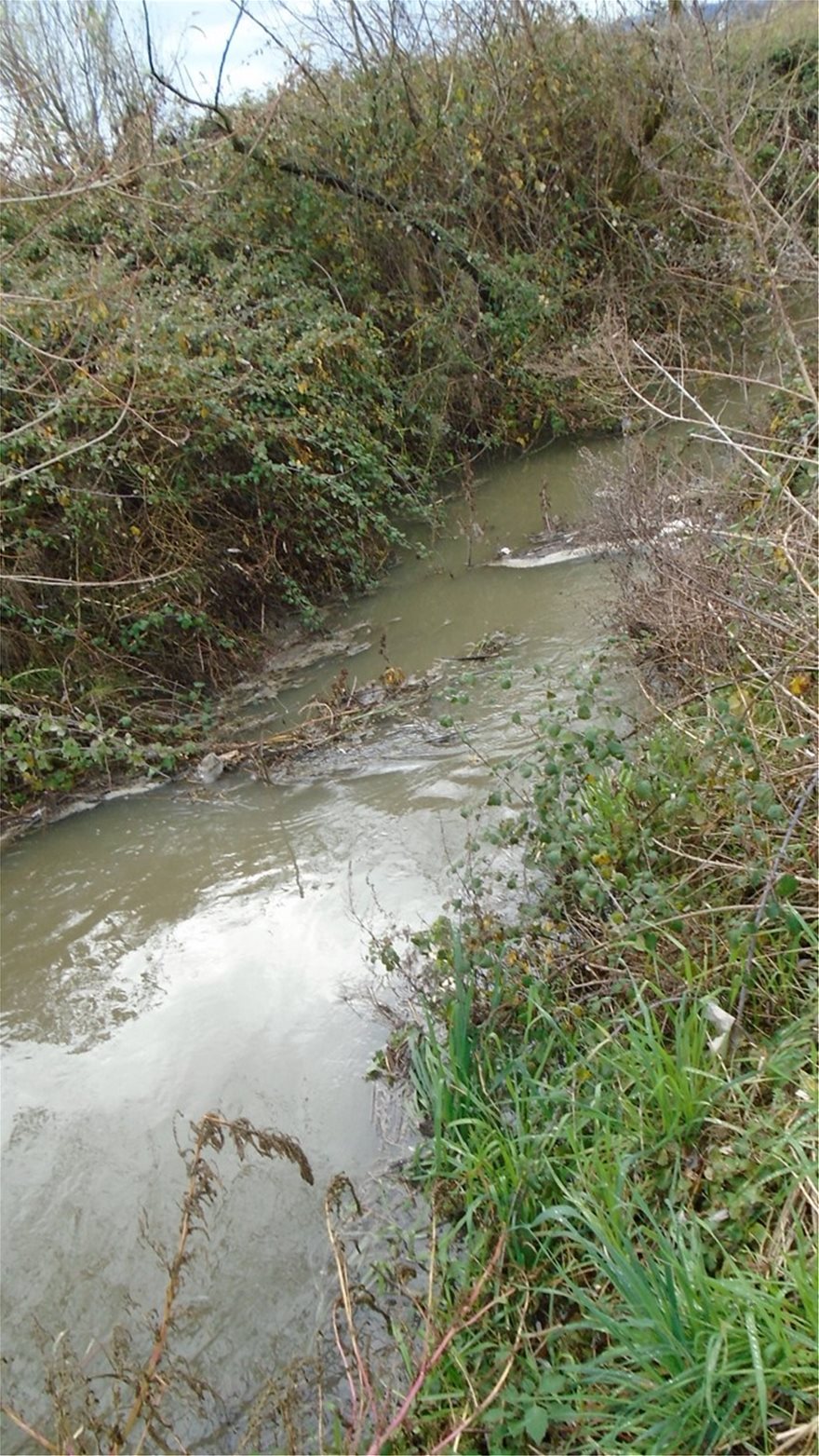 Όταν ανεύθυνοι Δήμαρχοι Υπογράφουν ΚΕΛ: Δήμος Ζίτσας, ποτάμι η λυματολάσπη στα Ιωάννινα - Φωτογραφία 4