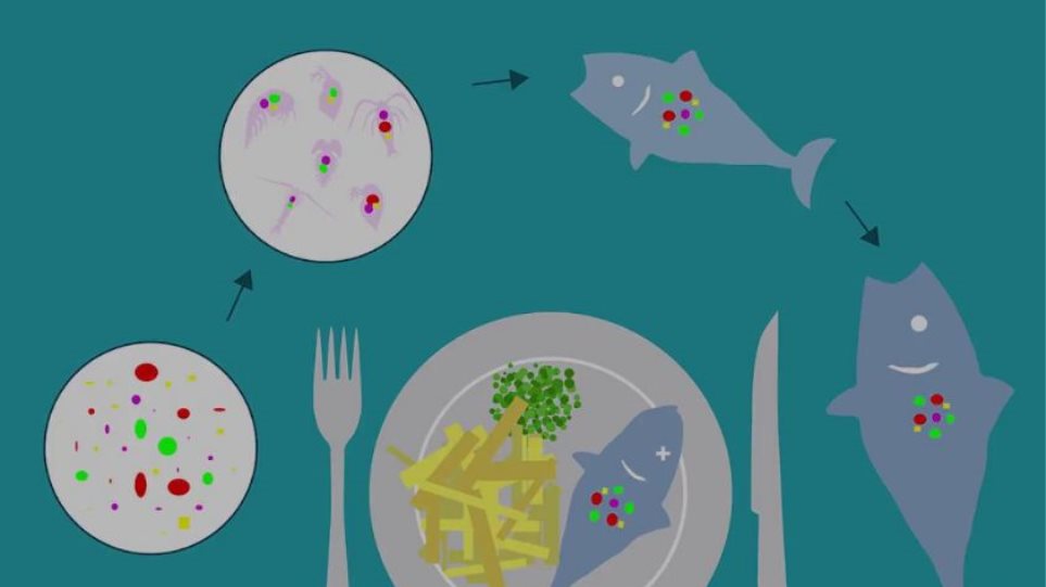 Έρευνα σοκ αποδεικνύει ότι όλοι τρώμε... πλαστικό - Φωτογραφία 1