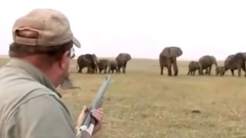 Κοπάδι ελεφάντων έκανε έφοδο εναντίον λαθροκυνηγών που σκότωσαν μέλος της αγέλης - Φωτογραφία 1