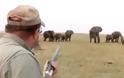 Κοπάδι ελεφάντων έκανε έφοδο εναντίον λαθροκυνηγών που σκότωσαν μέλος της αγέλης