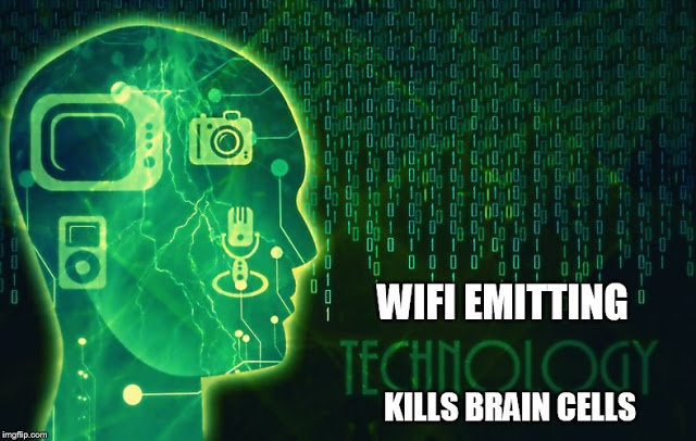 Like Alcohol, Exposure to WiFi Kills Brain Cells - Φωτογραφία 1
