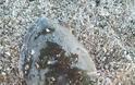 Νεκρή εντοπίστηκε θαλάσσια χελώνα στη παραλία της ΒΟΝΙΤΣΑΣ | ΦΩΤΟ - Φωτογραφία 4