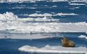 Αρκτική: 2018... η δεύτερη πιο θερμή χρονιά από το 1900