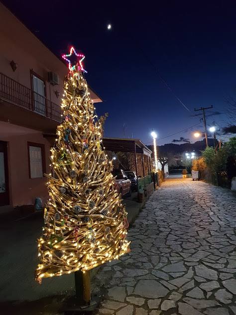 Πρωτότυπο οικολογικό Χριστουγεννιάτικο Δέντρο στο ΒΑΡΝΑΚΑ | ΦΩΤΟ - Φωτογραφία 15