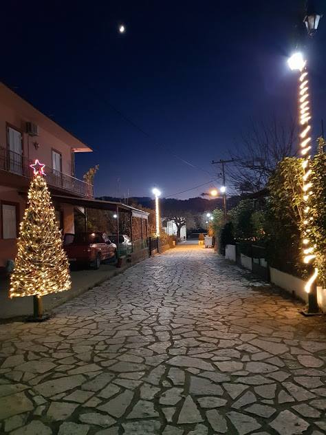 Πρωτότυπο οικολογικό Χριστουγεννιάτικο Δέντρο στο ΒΑΡΝΑΚΑ | ΦΩΤΟ - Φωτογραφία 16
