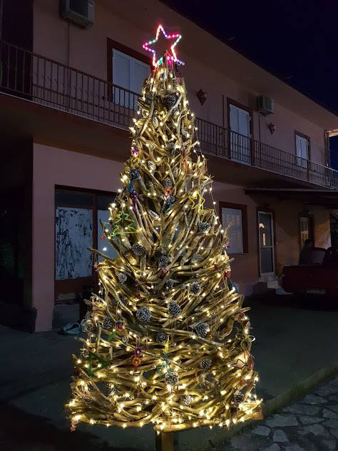 Πρωτότυπο οικολογικό Χριστουγεννιάτικο Δέντρο στο ΒΑΡΝΑΚΑ | ΦΩΤΟ - Φωτογραφία 4