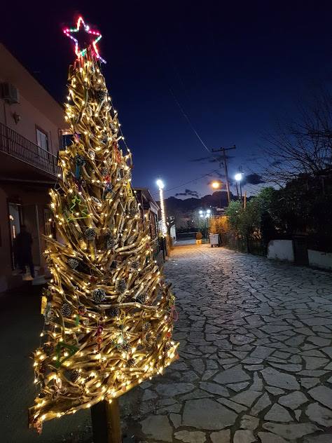 Πρωτότυπο οικολογικό Χριστουγεννιάτικο Δέντρο στο ΒΑΡΝΑΚΑ | ΦΩΤΟ - Φωτογραφία 5