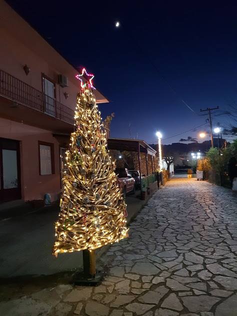 Πρωτότυπο οικολογικό Χριστουγεννιάτικο Δέντρο στο ΒΑΡΝΑΚΑ | ΦΩΤΟ - Φωτογραφία 8