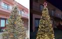 Πρωτότυπο οικολογικό Χριστουγεννιάτικο Δέντρο στο ΒΑΡΝΑΚΑ | ΦΩΤΟ