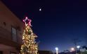 Πρωτότυπο οικολογικό Χριστουγεννιάτικο Δέντρο στο ΒΑΡΝΑΚΑ | ΦΩΤΟ - Φωτογραφία 15