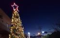 Πρωτότυπο οικολογικό Χριστουγεννιάτικο Δέντρο στο ΒΑΡΝΑΚΑ | ΦΩΤΟ - Φωτογραφία 5