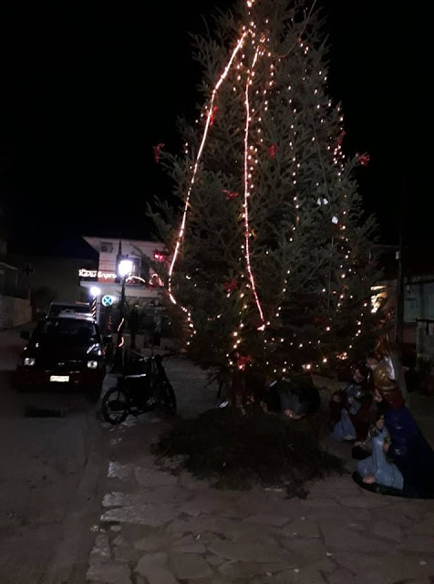 Άναψε το Χριστουγεννιάτικο δένδρο στο ΘΥΡΡΕΙΟ | ΦΩΤΟ - Φωτογραφία 9