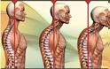 «Text neck»: Τι είναι και με ποια συμπτώματα εκδηλώνεται; Πώς θα το αντιμετωπίσετε; - Φωτογραφία 3