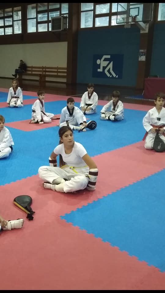 Ο ΚΕΝΤΑΥΡΟΣ ΑΣΤΑΚΟΥ ήταν παρών στη μεγάλη προπονητική συνάντηση συλλόγων Taekwondo στο ΜΕΤΣΟΒΟ | ΦΩΤΟ - Φωτογραφία 11