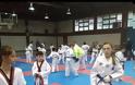 Ο ΚΕΝΤΑΥΡΟΣ ΑΣΤΑΚΟΥ ήταν παρών στη μεγάλη προπονητική συνάντηση συλλόγων Taekwondo στο ΜΕΤΣΟΒΟ | ΦΩΤΟ - Φωτογραφία 6