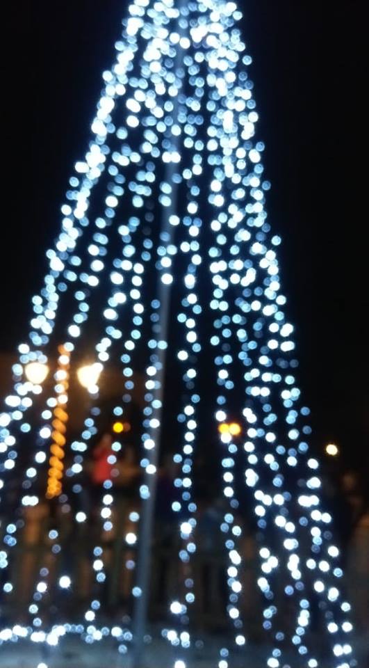 Η ΠΑΛΑΙΡΟΣ άναψε το Χριστουγεννιάτικο Δέντρο - Φωτογραφία 6