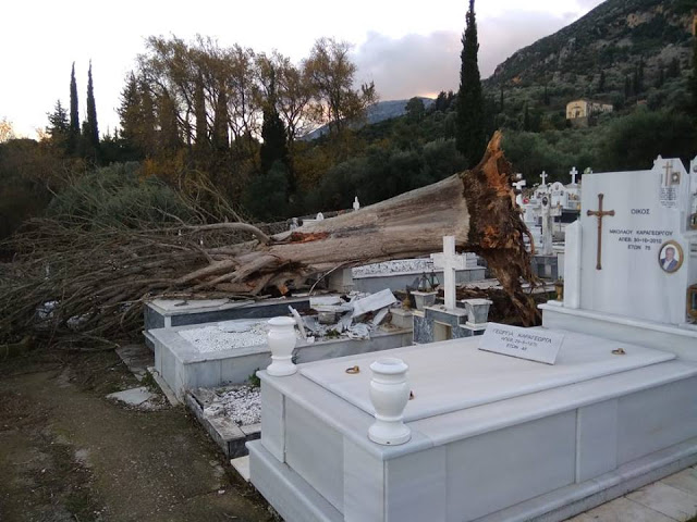 Ξεριζώθηκε δέντρο στο νεκροταφείο ΒΑΣΙΛΟΠΟΥΛΟ Ξηρομέρου - Μεγάλες υλικές ζημιές σε τάφους (φωτογραφίες) - Φωτογραφία 1