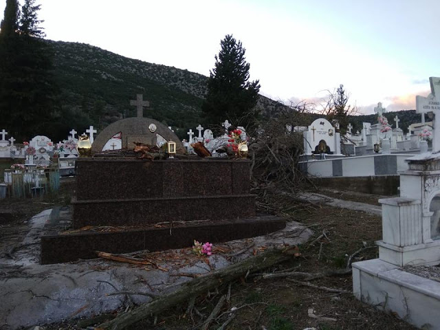Ξεριζώθηκε δέντρο στο νεκροταφείο ΒΑΣΙΛΟΠΟΥΛΟ Ξηρομέρου - Μεγάλες υλικές ζημιές σε τάφους (φωτογραφίες) - Φωτογραφία 6