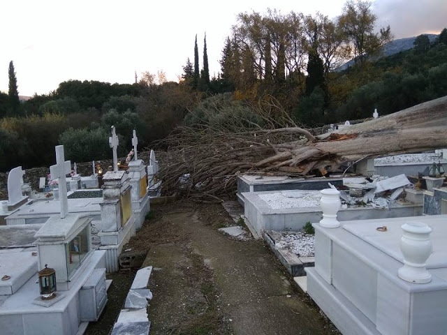Ξεριζώθηκε δέντρο στο νεκροταφείο ΒΑΣΙΛΟΠΟΥΛΟ Ξηρομέρου - Μεγάλες υλικές ζημιές σε τάφους (φωτογραφίες) - Φωτογραφία 7