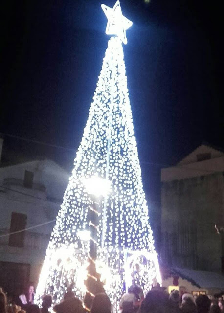 Άναψε το Χριστουγεννιάτικο δέντρο της ΒΟΝΙΤΣΑΣ | ΦΩΤΟ - Φωτογραφία 4