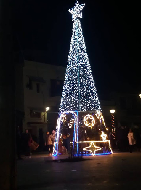 Άναψε το Χριστουγεννιάτικο δέντρο της ΒΟΝΙΤΣΑΣ | ΦΩΤΟ - Φωτογραφία 7