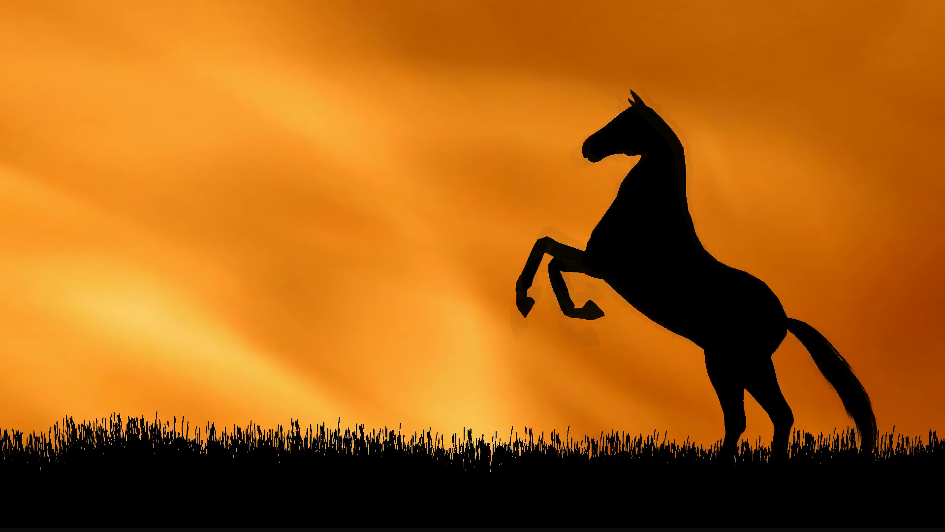 Τι κοινό έχει το Bitcoin με τον Γκάντι και... τα άλογα - Φωτογραφία 3