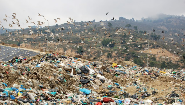ΟΧΙ του Φορέα Ιωαννίνων στα σκουπίδια της Λευκάδας - Φωτογραφία 1