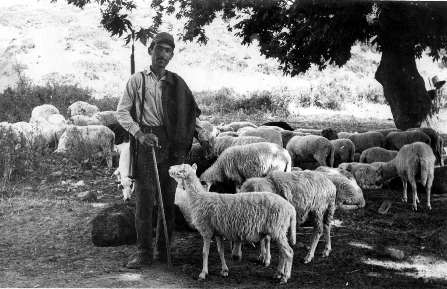 ΜΑΡΙΑ ΑΓΓΕΛΗ: Aρχιμηνιά κι αρχιχρονιά κι αρχή καλός μας χρόνος… - Φωτογραφία 6