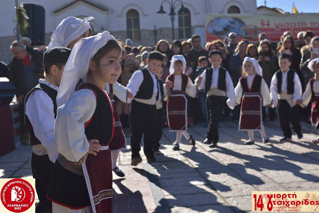 ΣΥΛΛΟΓΟΣ ΦΥΤΕΙΩΝ «ΑΚΑΡΝΑΝΙΚΟ ΦΩΣ»: Ευχαριστίες για την επιτυχημένη ΓΙΟΡΤΗ ΤΣΙΓΑΡΙΔΑΣ  | ΠΟΛΛΕΣ ΦΩΤΟ: Νίκος Τσίρκας - Φωτογραφία 143