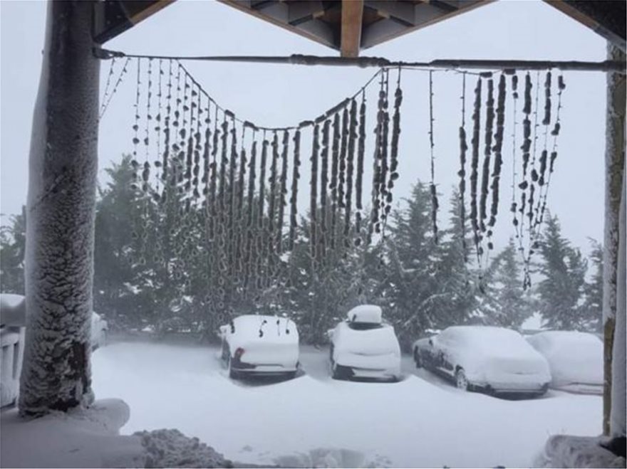 Ο χιονιάς «σαρώνει» την Αράχωβα - Κλειστό το Χιονοδρομικό Κέντρο Παρνασσού - Φωτογραφία 3