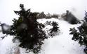 Ευρυτανία: Νεκρή μια γυναίκα που εγκλωβίστηκε στα χιόνια μετά το ρεβεγιόν