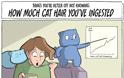 Θέλεις να πάρεις γάτα; Τι πρέπει να γνωρίζεις πριν το αποφασίσεις; - Φωτογραφία 4