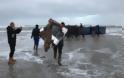 Ολλανδία: Τηλεοράσεις, έπιπλα, ρούχα και παιχνίδια ξεβράζει η θάλασσα