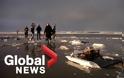 Ολλανδία: Τηλεοράσεις, έπιπλα, ρούχα και παιχνίδια ξεβράζει η θάλασσα - Φωτογραφία 2