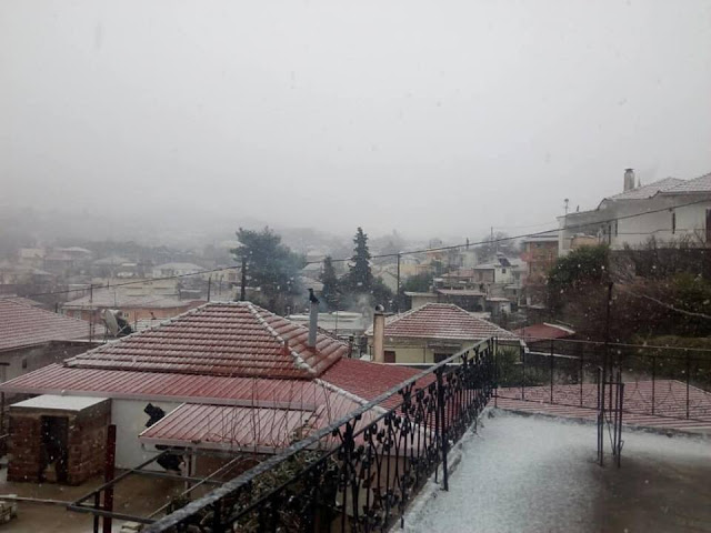 Συνεχίζεται η χιονόπτωση σε περιοχές της ΒΟΝΙΤΣΑΣ και του ΞΗΡΟΜΕΡΟΥ... - Φωτογραφία 15