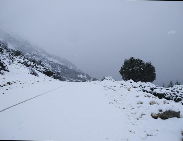 Συνεχίζεται η χιονόπτωση σε περιοχές της ΒΟΝΙΤΣΑΣ και του ΞΗΡΟΜΕΡΟΥ... - Φωτογραφία 17