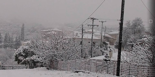 Συνεχίζεται η χιονόπτωση σε περιοχές της ΒΟΝΙΤΣΑΣ και του ΞΗΡΟΜΕΡΟΥ... - Φωτογραφία 21