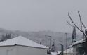 Συνεχίζεται η χιονόπτωση σε περιοχές της ΒΟΝΙΤΣΑΣ και του ΞΗΡΟΜΕΡΟΥ... - Φωτογραφία 19