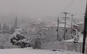 Συνεχίζεται η χιονόπτωση σε περιοχές της ΒΟΝΙΤΣΑΣ και του ΞΗΡΟΜΕΡΟΥ... - Φωτογραφία 21
