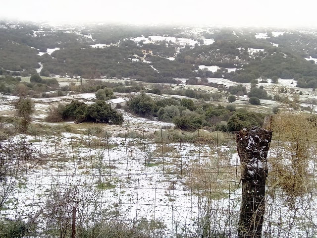 Ωραίες φώτο με χιόνι   από το χωριό Βλυζιανά  Ξηρομέρου - Φωτογραφία 31