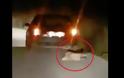 ΒΟΝΙΤΣΑ-Φρίκη: Έσερνε σκύλο στην άσφαλτο με το αυτοκίνητο (ΒΙΝΤΕΟ) - Φωτογραφία 2