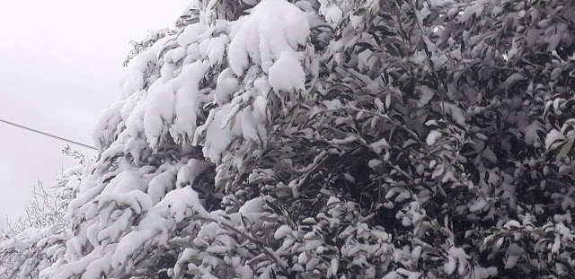 Έριξε πολύ χιόνι στο ΑΡΧΟΝΤΟΧΩΡΙ Ξηρομέρου [εικόνες] - Φωτογραφία 31