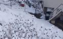 Έριξε πολύ χιόνι στο ΑΡΧΟΝΤΟΧΩΡΙ Ξηρομέρου [εικόνες] - Φωτογραφία 20