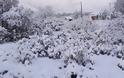 Έριξε πολύ χιόνι στο ΑΡΧΟΝΤΟΧΩΡΙ Ξηρομέρου [εικόνες] - Φωτογραφία 23