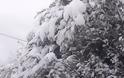Έριξε πολύ χιόνι στο ΑΡΧΟΝΤΟΧΩΡΙ Ξηρομέρου [εικόνες] - Φωτογραφία 31