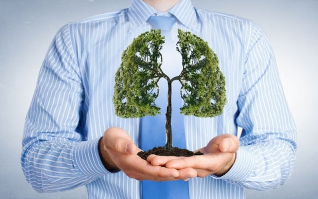 Υγεία των πνευμόνων: Ποιες τροφές θα μας βοηθήσουν; - Φωτογραφία 1