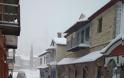 Πυκνό χιόνι και μέσα στο Άγιο Όρος [εικόνες: Ηλίας Καταγής] - Φωτογραφία 1